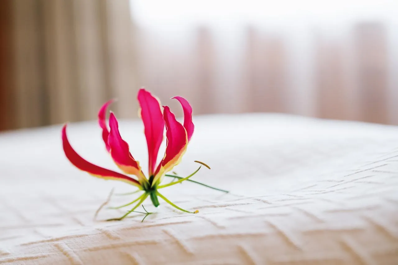 Moevenpick Hotel Du Lac Τύνιδα 5*,  Τυνησία